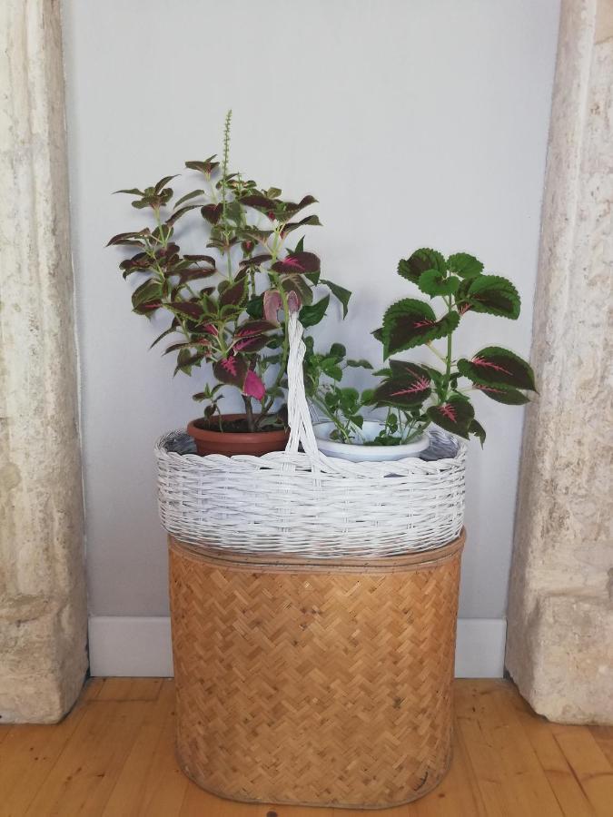 Bubibi Apartment Cagliari Bagian luar foto